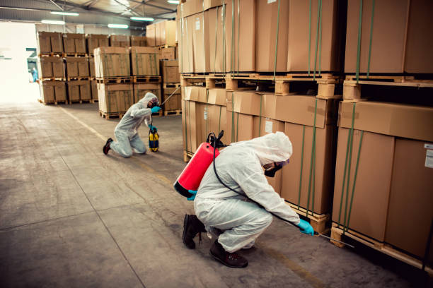 Best Emergency Pest Control  in Lake Como, NJ