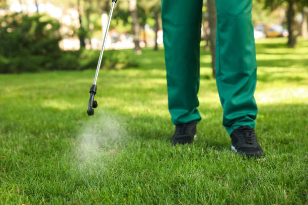 Best Wasp Removal Services  in Lake Como, NJ