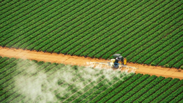 Best Pest Removal Services  in Lake Como, NJ